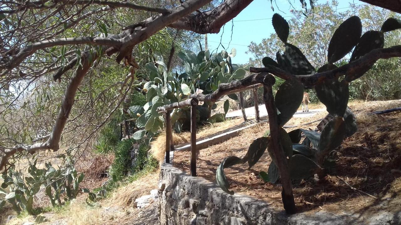 Sifis Pirounakis Anatoli Villa Lentas Luaran gambar