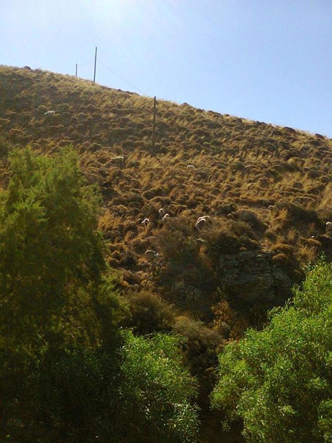 Sifis Pirounakis Anatoli Villa Lentas Luaran gambar
